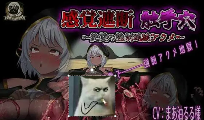 【电脑】[日式SLG/AI汉化/全动态] 感官剥夺触手浦西～绝望的强制连续高潮～/感覚遮断触手浦西～絶望の強制連続アクメ～ AI汉化版 [600M/新作/CV]