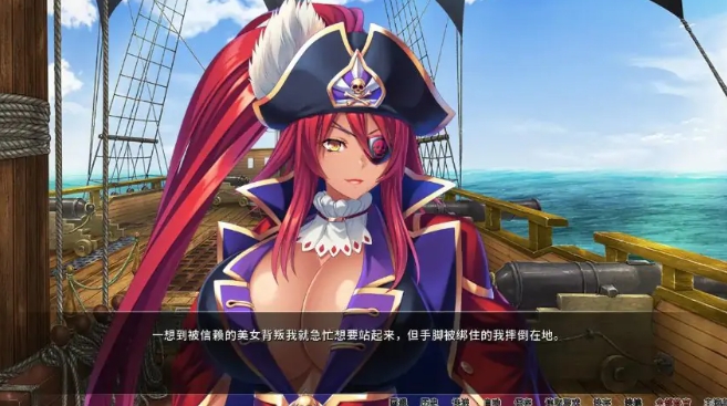 【PC/官中/日系/ADV游戏/1.97G】海贼王 Ver1.3.2 官方中文版+日系ADV游戏+1.97G