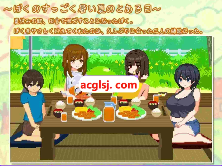 [PC/安卓/AI汉化版/全回想存档/日式SLG/像素动态] 我与夏日里的姐姐们 ぼくと夏のおねえちゃん達 AI汉化版+全回想存档 [PC+安卓1.10G]